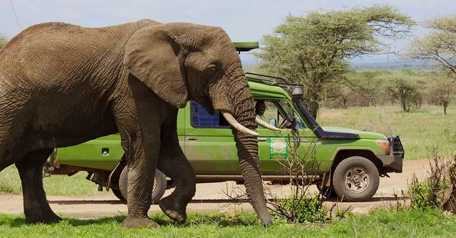 Sunny Safaris Limited