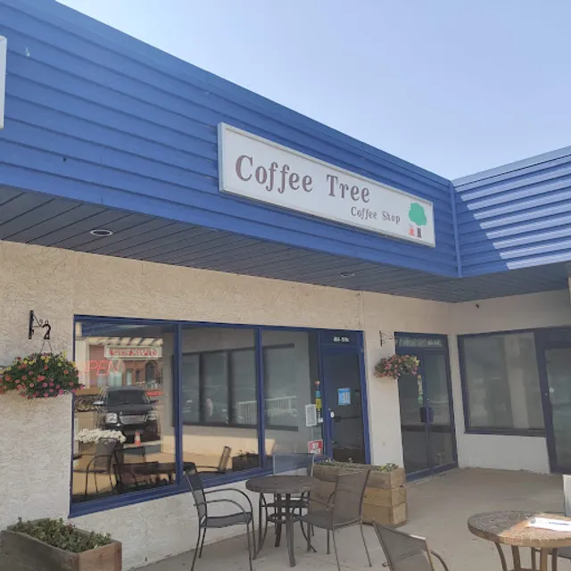 The Coffee Tree