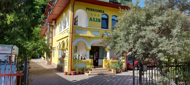 Pensiunea Alis