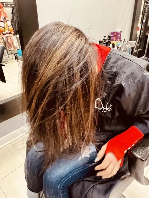 The L Beauty Spot and Dry Bar Hair Salon