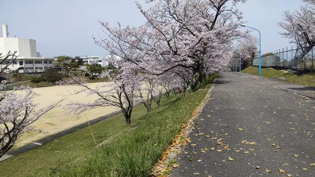 Kyoto University Research Reactor Institute