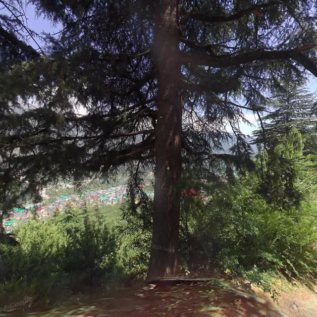 OYO Home 15841 Serene Mountain View Studio