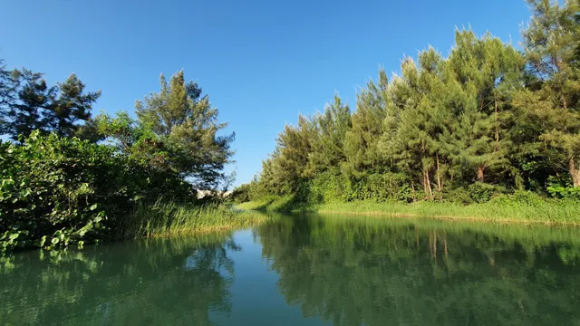 Estuary Ecological Observation Pool