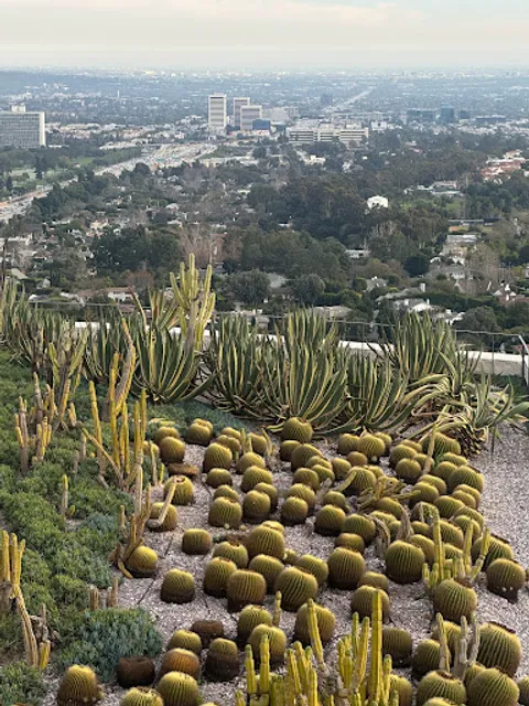 Cactus Garden