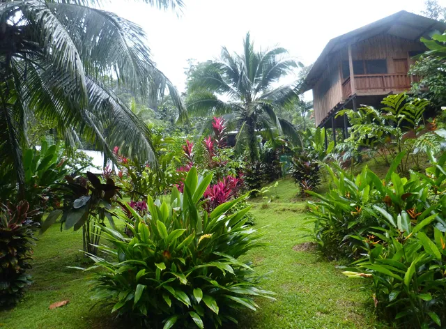 Tamandua Biological Station Lodge