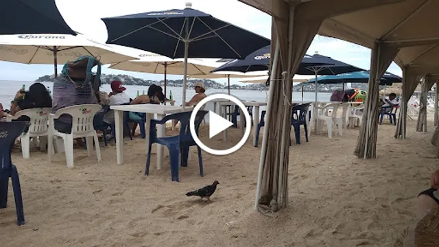 Coco Loco Beach Club