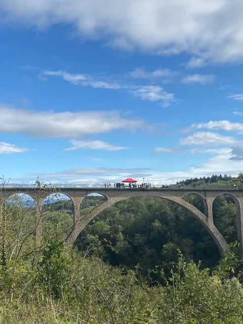Saut à l'élastique