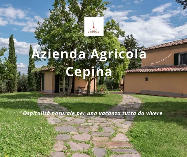 Villa Poggio le Vignacce - Agriturismo Cepina
