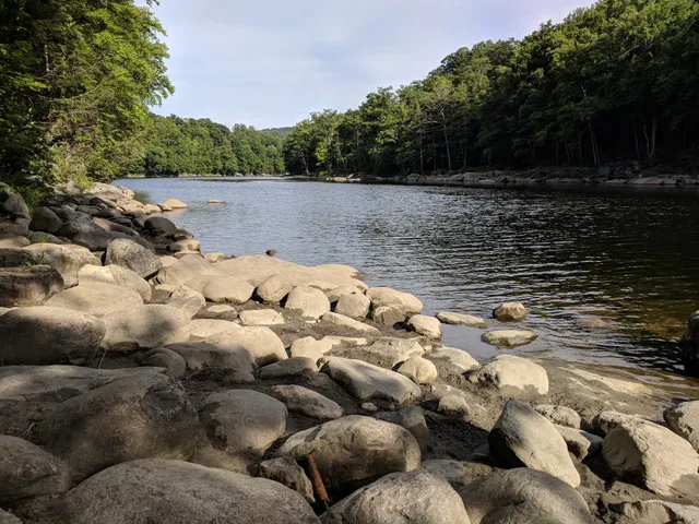 Shelburne State Forest