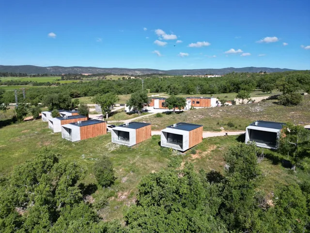 Pachán Dehesa Boyal