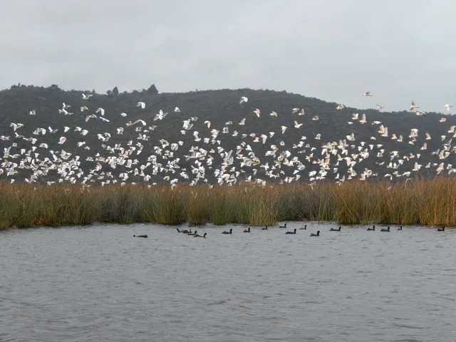 Wilderness River Safaris