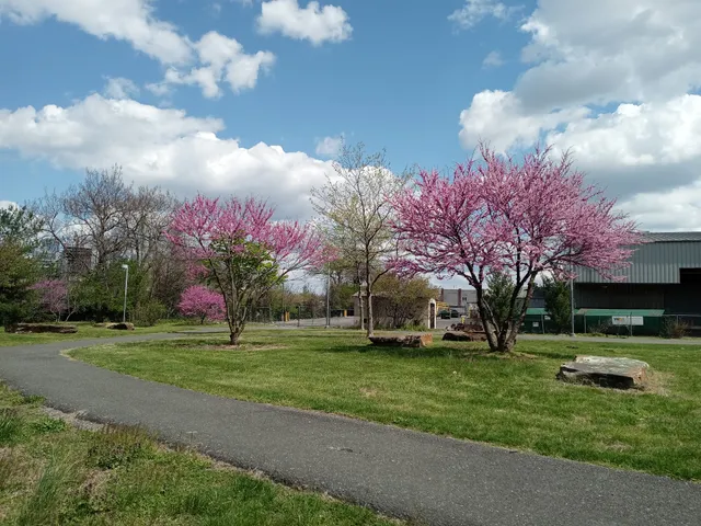 Grays Ferry Crescent