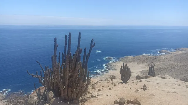 Mirador - Pan de Azucar