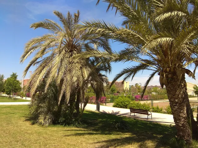 Parque urbano de Malilla