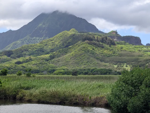 Kawainui Marsh Bike Trail