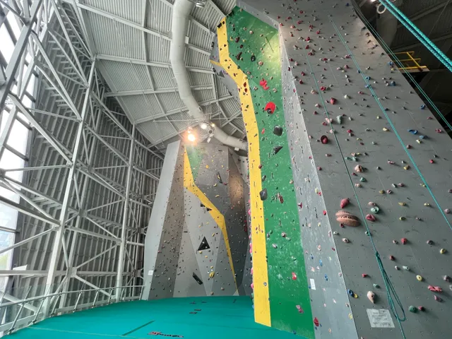 Wilson Climbing Centre