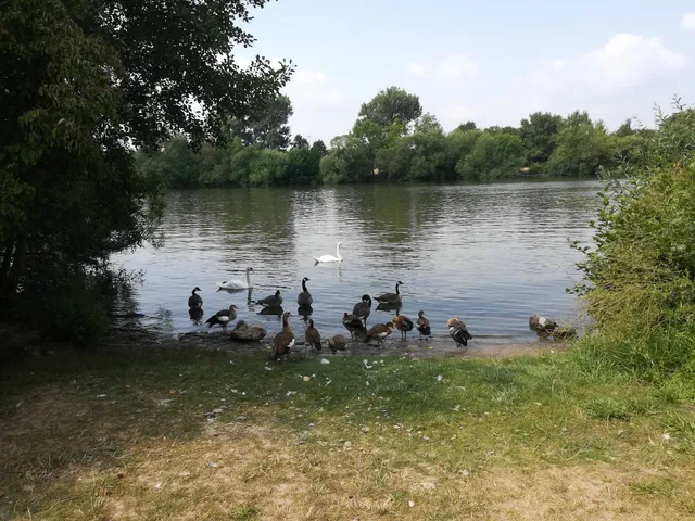 Frankfurt Airport & Fair Apartment