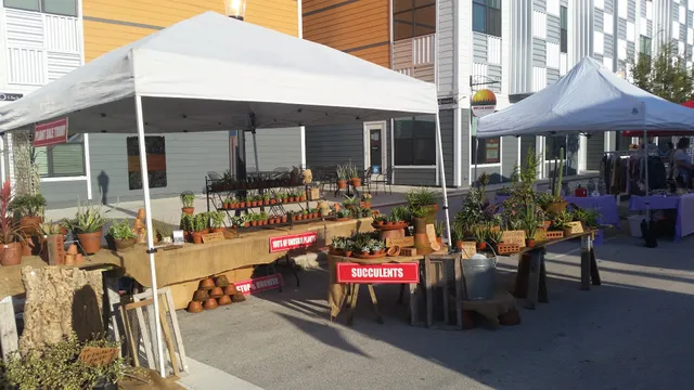 Lakeland Downtown Farmers Curb Market