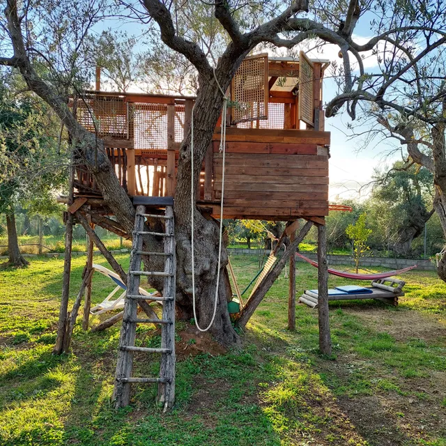 La Piana degli Ulivi