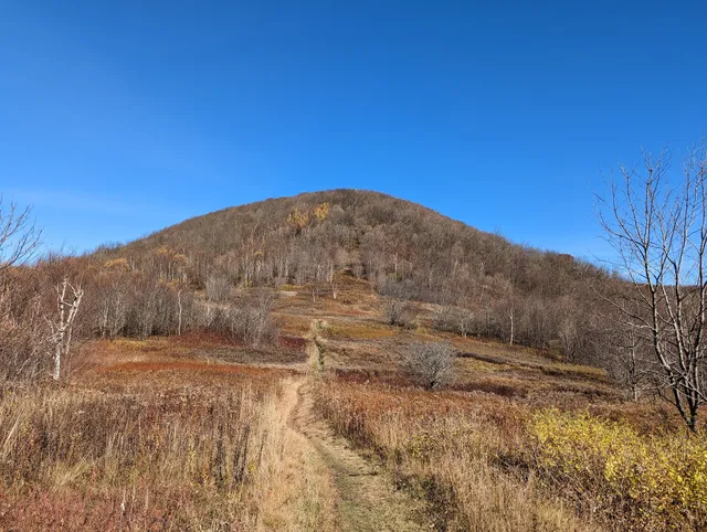 Mount Greylock State Reservation