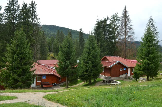 Vile Izvorul Minunilor