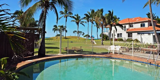 Driftwood on the Beach