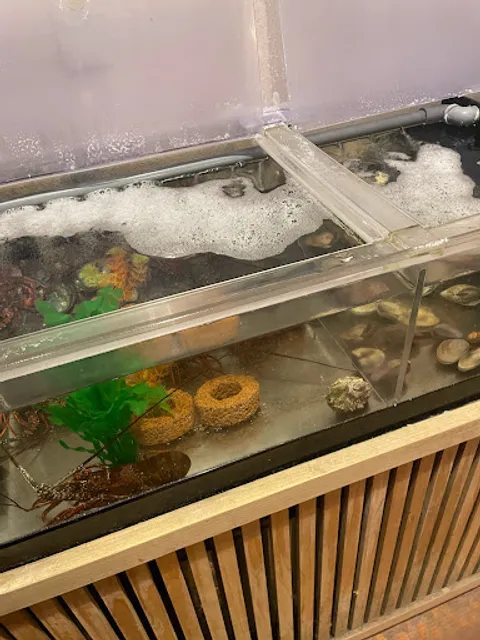 うみ道楽 志木駅前