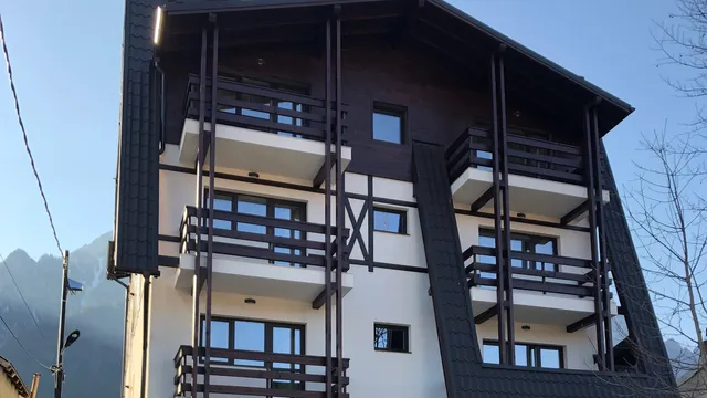 Elena Maria Apartments Busteni