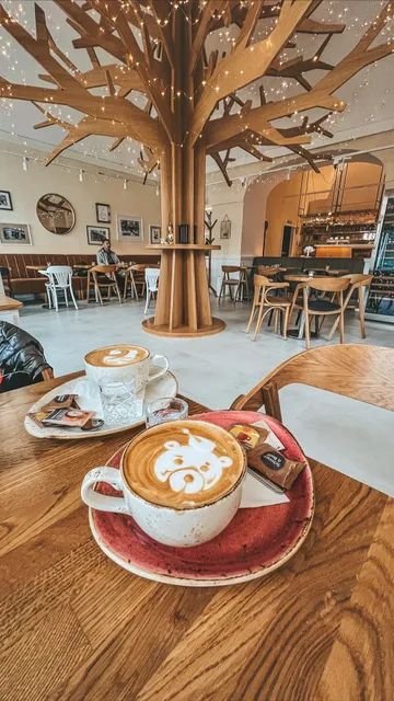 Kaviareň pod stromom