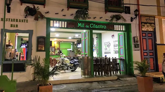 Mil de Cilantro