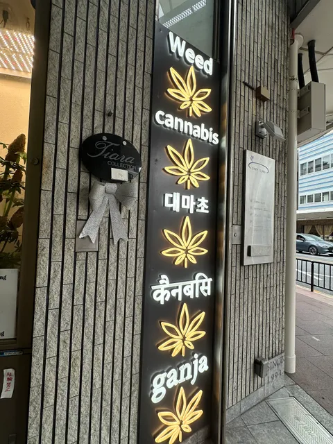 I'm FREE KYOTO with 孫GONG