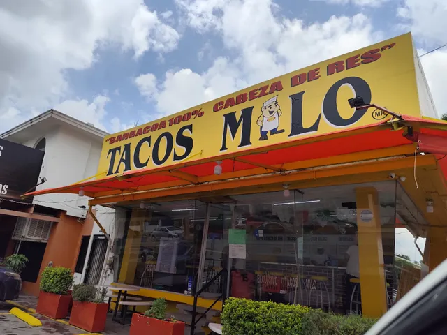 TACOS MILO