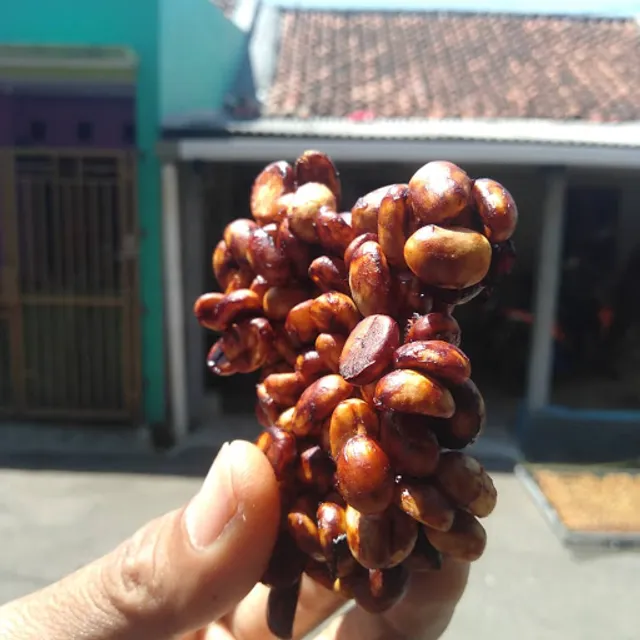 Coffee trede bokir west java