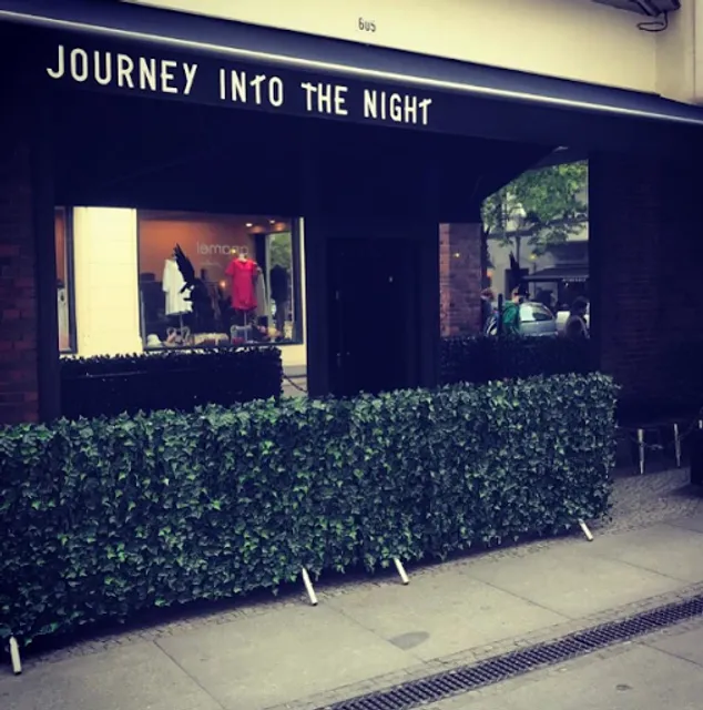 Journey into the Night