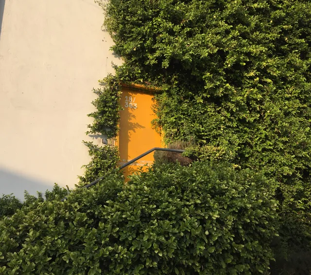 Gastronomica Holdings