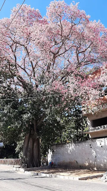 Restaurante Da Marli