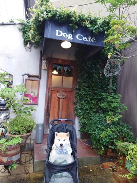 ドッグカフェ