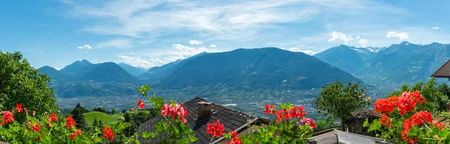 Ferienwohnungen Oberweier