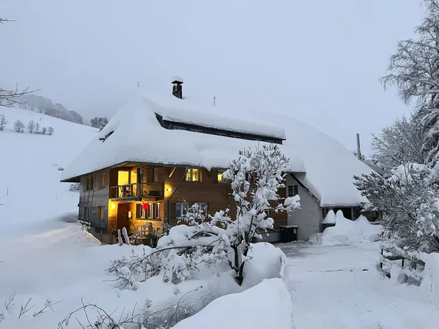 Haus am Bach Todtnauberg | Ferienwohnung