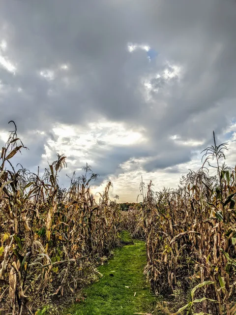 Silver Creek Township