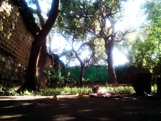 La Posada de Don Tito Izalco