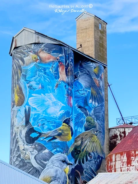 Murtoa Silo Art
