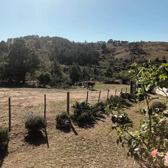 Cabañas Sierras de Berna