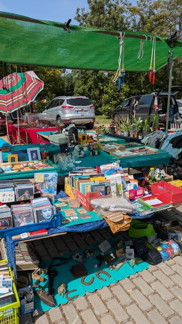 Rastrillo de Freesia Contra el Cáncer