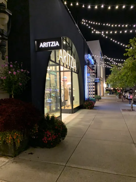 Aritzia