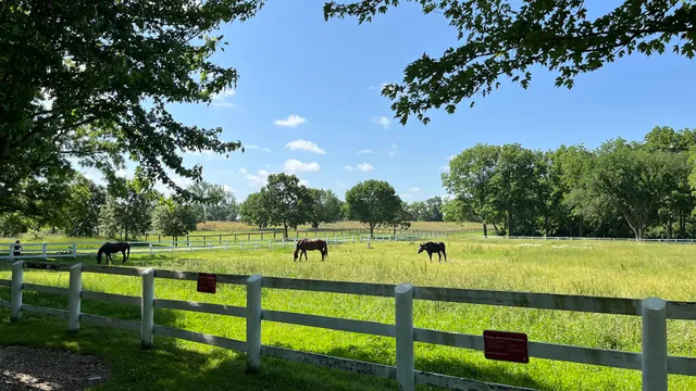 Danada Equestrian Center - Forest Preserve District of DuPage County