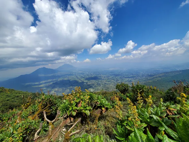 Bisoke Hike Volcanoes National Park