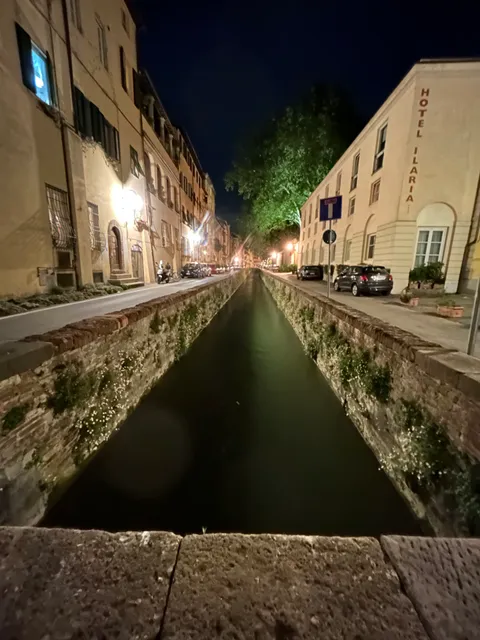 IN LUCUS Guest House