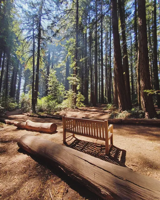 Redwood Glen Trailhead