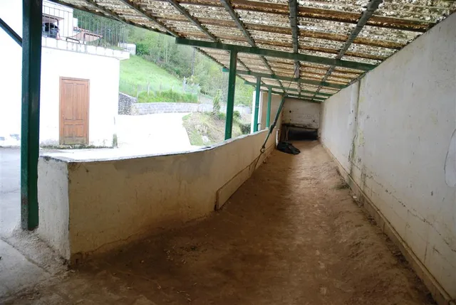 San Miguel Bolatokia